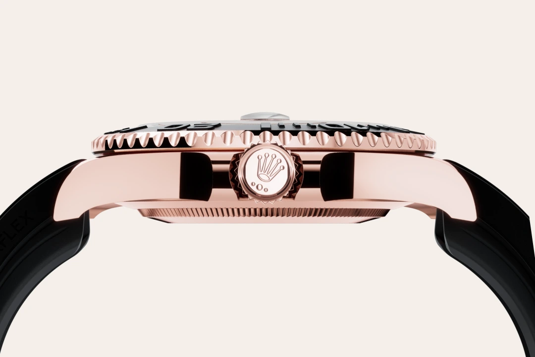 Bidirectional Rotatable Bezel
