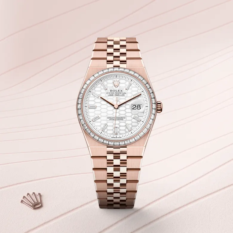 Rolex Land-Dweller 36 in 36 mm everose gold and diamonds, M127285TBR-0002 - Cooke & Kelvey