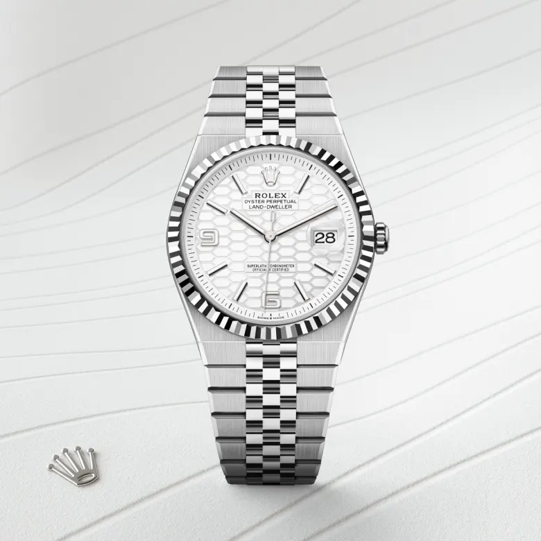 Rolex Land-Dweller 40 in 40 mm oystersteel and white gold, M127334-0001 - Cooke & Kelvey